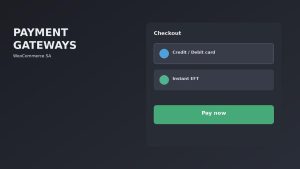 WooCommerce payment gateways in South Africa: which to install and how