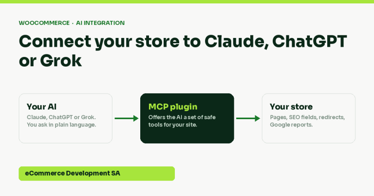 WooCommerce AI integration: connecting a store to Claude, ChatGPT and Grok